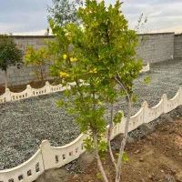 باغ-و-باغچه179متری-برق-آب-دائم-تهاترباطلاو-خودرو