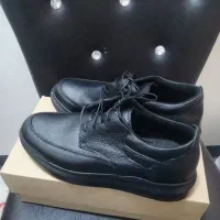 یک جفت کفش مردانه، سایز 43