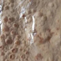 فروش ارد گندم کامل جهت مصرف دام و طیور|حراج|تهران, سلسبیل جنوبی|دیوار