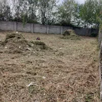 خدمات چمن زنی و باغبانی، علف زنی به همراه سم پاشی|خدمات باغبانی و درختکاری|رشت, نیروی دریایی|دیوار