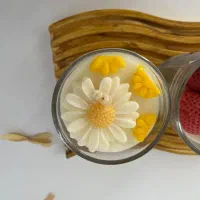 انواع شمع گیاهی برا دکور و هدیه و سرویس بهداشتی|صنایع دستی و سایر لوازم تزئینی|شاهینشهر, شهرک میلاد|دیوار