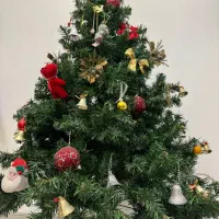 درخت کریسمس|گل مصنوعی|فردیس, فردیس|دیوار