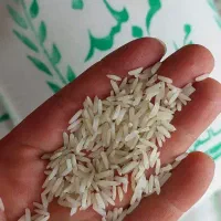 برنج کامفیروزی|خوردنی و آشامیدنی|شیراز, دروازه قران|دیوار
