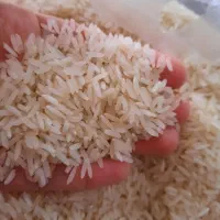 برنج ایرانی