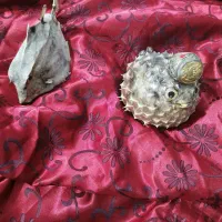 ماهی بادکنکی تزئینی و انگشتر نگین دار