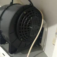 هود دورسا|هود|کاشمر, |دیوار