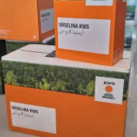 خرید و فروش بذر چغندر