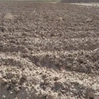 فروش زمین کشاورزی واقع در هرات خاتم