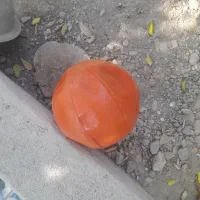 توپ بسکتبال