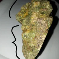 مجسمه شجر عتیقه|کلکسیون اشیاء عتیقه|اهواز, شریعتی جنوبی|دیوار