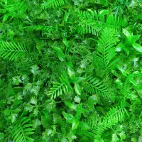 گرینوال ۵۰×۵۰