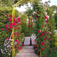 خدمات باغبانی باغچه کاری گلکاری تعویض خاک گلدون