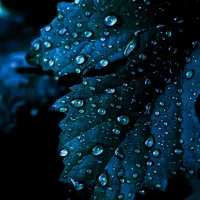 دوربین نیکون 3500D|دوربین عکاسی و فیلمبرداری|کهنوج, |دیوار