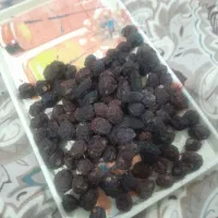 ۵کیلو الوخشک بفروش میرسد