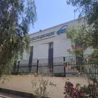 استخدام