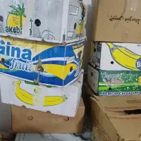 کارتن موز سالم