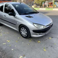 ۲۰۶تیپ دو جوان پسند