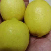 ابلیمو دستی خالص