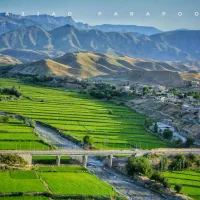 برنجی ز دامنه‌ی رشته کوه هزار مسجدخراسان رضوی لاین|خوردنی و آشامیدنی|تهران, ایران|دیوار