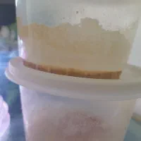 ماهی گوپی ومیکروورم|ماهی|اصفهان, طامه|دیوار