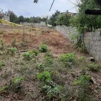 زمین با کاربری مسکونی|فروش زمین و ملک کلنگی|پایین هولار, |دیوار