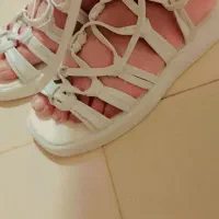 صندل