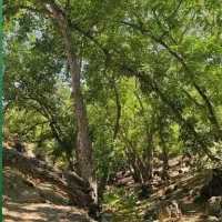 تور طبیعتگردی یکروزه