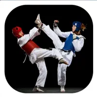 آموزش تکواندو