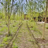 ویلا مبله دانمارکی|فروش آپارتمان|الوند, |دیوار