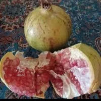 انار شیرین و ابدار