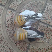 چراغ|لامپ و چراغ|باغستان, |دیوار