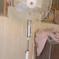 پنکه فقط موتور ش سوخته|پنکه و تصفیهکنندهٔ هوا|زابل, |دیوار