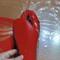 دستکش ووشو|تجهیزات ورزشی|هشتگرد, شهرک آپادانا|دیوار