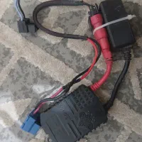 ترانس زنون