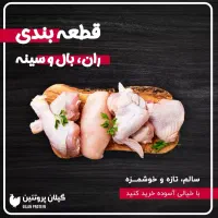 قطعه بندی مرغ ران سینه فیله کتف بال ارسال رایگان