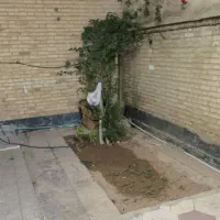 منزل ۱۸۰متری اجاره دربن هاشمی