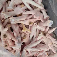 پای مرغ ضایعاتی