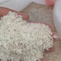 برنج طارم هاشمی ۲۲۵ ت سرلاشه ۱۴۵ت فجر ۱۵۰ت|خوردنی و آشامیدنی|آمل, |دیوار