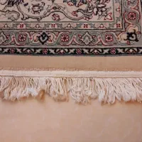 فرش ۹ متری مشهد درجه یک|فرش|پرند, فاز ۴|دیوار