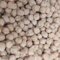 نخود عمده|عمده‌فروشی|کرمانشاه, |دیوار