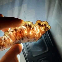 سنگ شجر ،عقیق|کلکسیون اشیاء عتیقه|یاسوج, |دیوار