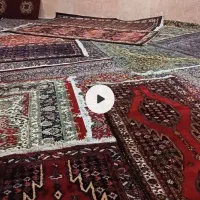 فروش فرش|فرش|ساوه, |دیوار