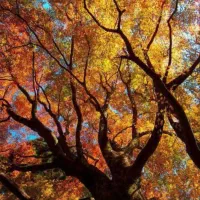 نقاشی ساختمان وبنای