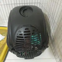 سگ جیبی پودل وپامر|سگ|تهران, خانی آباد نو جنوبی|دیوار