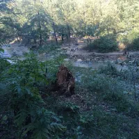 زمین نزدیک به بافت|فروش زمین و ملک کلنگی|القجر, |دیوار