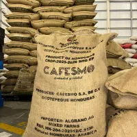 خریدار فوری قهوه سبز - پرداخت نقدی - بهترین قیمت