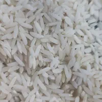 برنج هاشمی مستقیم از کشاورز