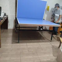 میز پینگ پنگ