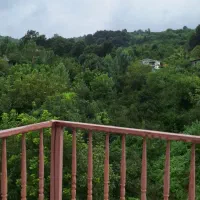 اجاره ویلا منطقه‌ توریستی لفور|اجارهٔ کوتاه‌مدت ویلا و باغ|بابل, |دیوار