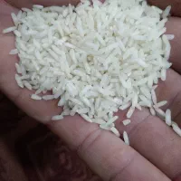 برنج هاشمی کشت اول درجه یک برای آمل